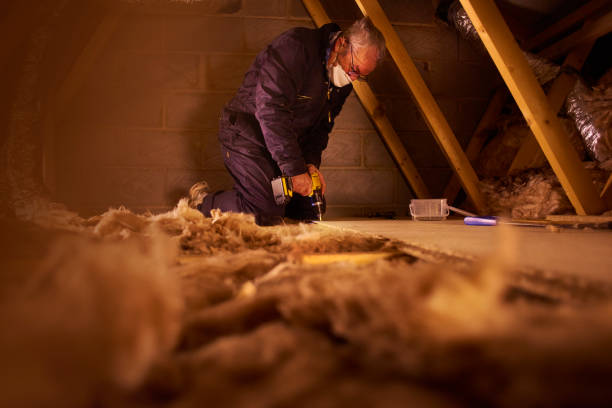 Best Insulation Repair Services  in Copiague, NY